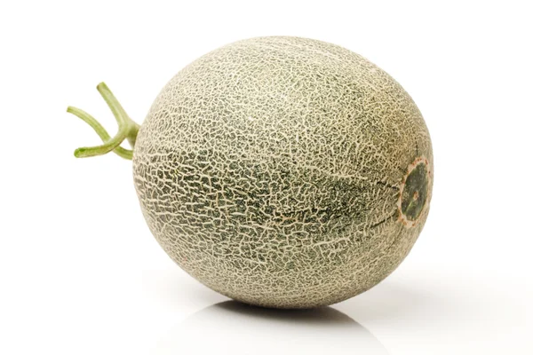 Netted melon — Stock Photo, Image