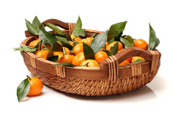 Tangerine orange on — Stock Photo, Image