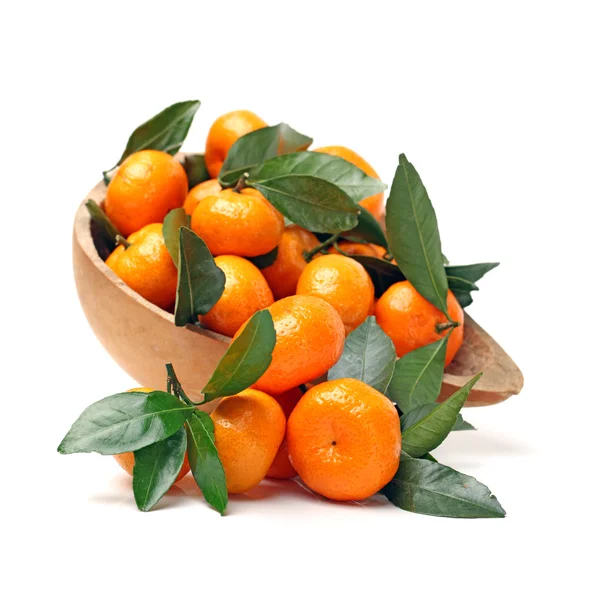 Tangerine orange på — Stockfoto