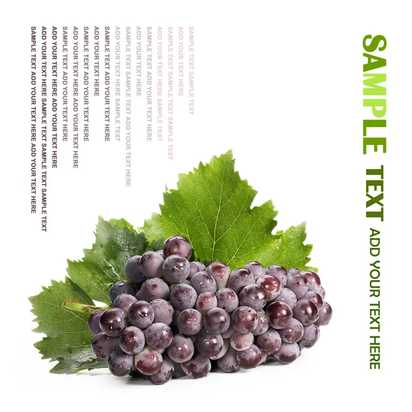 Grapes — Stock Photo, Image