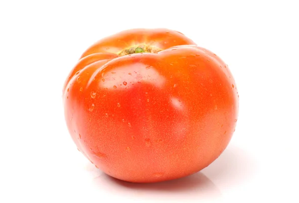 Tomaatti vesipisaroilla — kuvapankkivalokuva