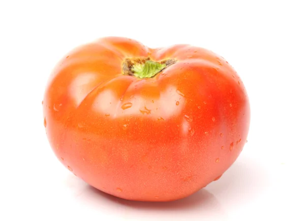 Feuchte Tomate — Stockfoto