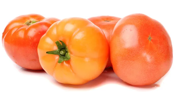 Groupe de tomates — Photo