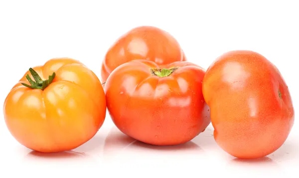 Quatro tomates — Fotografia de Stock