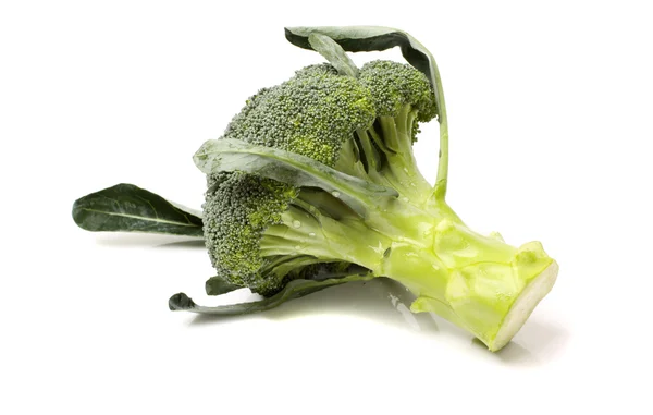 Friska broccoli — Stockfoto