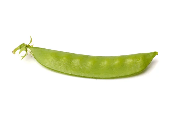 Pea vegetable — Stock Photo, Image