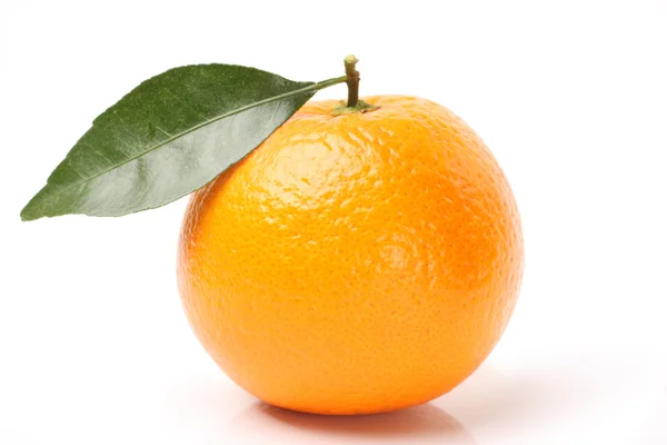 Mooi oranje — Stockfoto