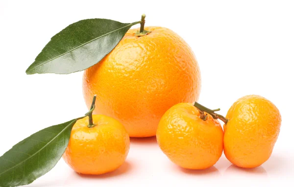 Mandarinas con naranja —  Fotos de Stock
