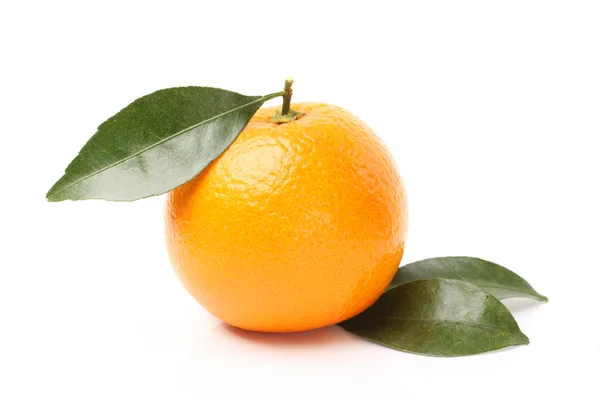 Mandarynka pomarańczowy — Zdjęcie stockowe
