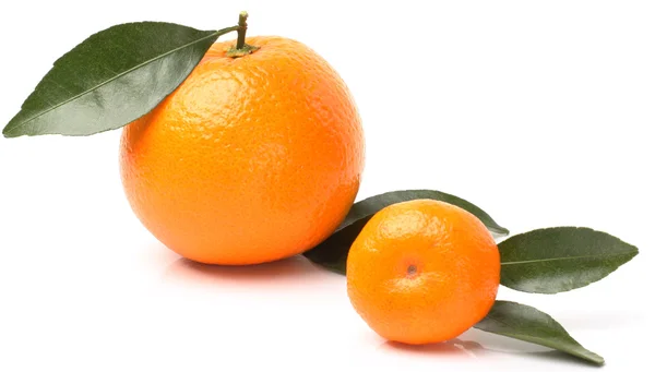 Große orange — Stockfoto