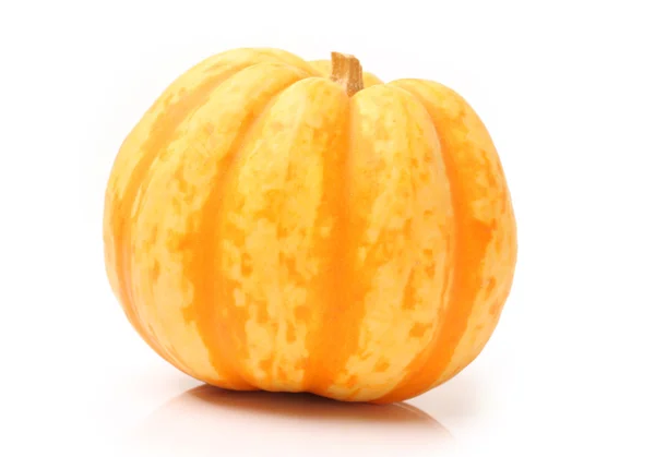 Pumpkin — Stock Photo, Image