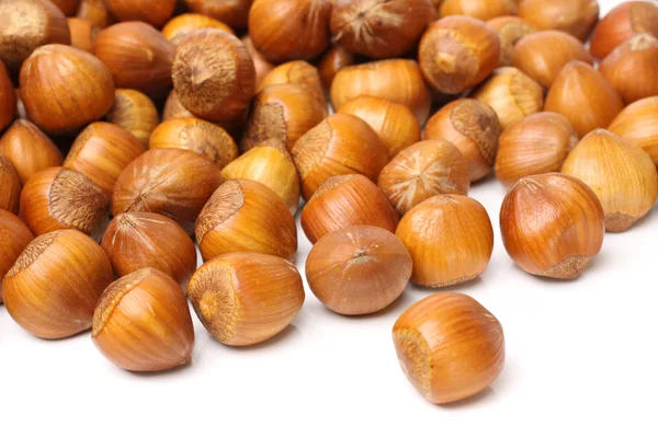 Hazelnuts — Stock Photo, Image