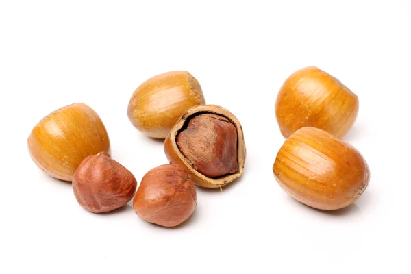 Fistful of hazelnuts — Stock Photo, Image