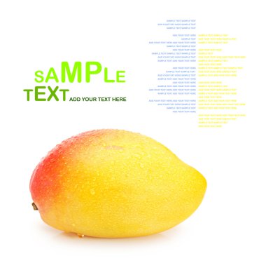 taze mango