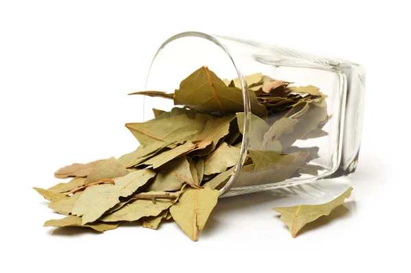 Bay leaves in glass — Stock Photo, Image