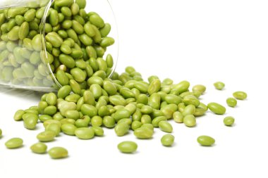 soya fasulyesi ile cam