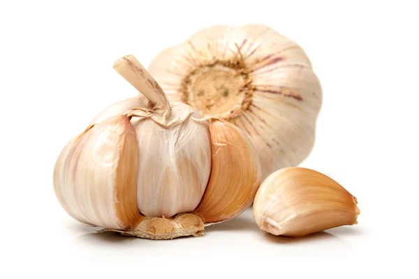 Heads of fresh garlic — Stock Photo, Image