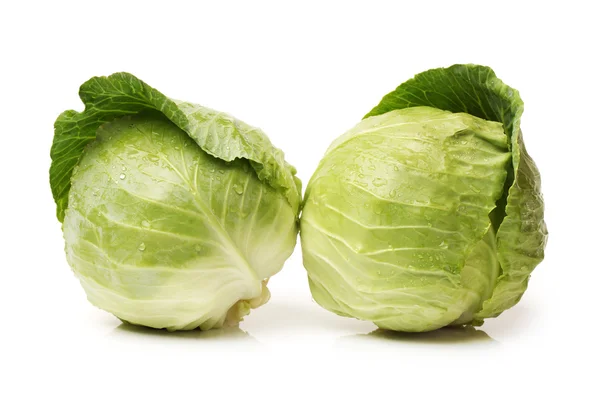 Wet cabbages — Stock Photo, Image