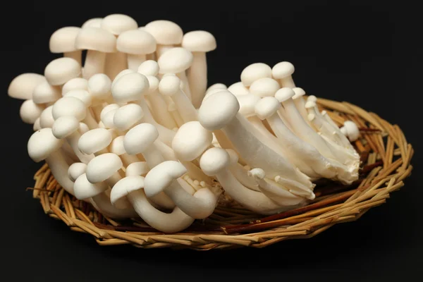 Mushrooms on brown salver — Stock Photo, Image