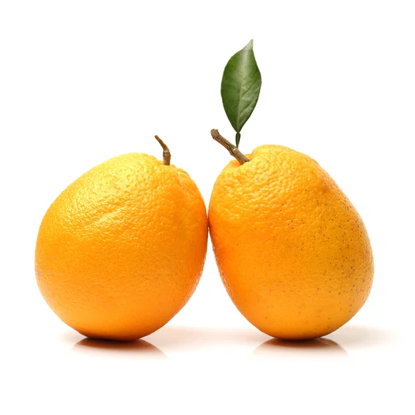 Fresh oranges — Stock Photo, Image