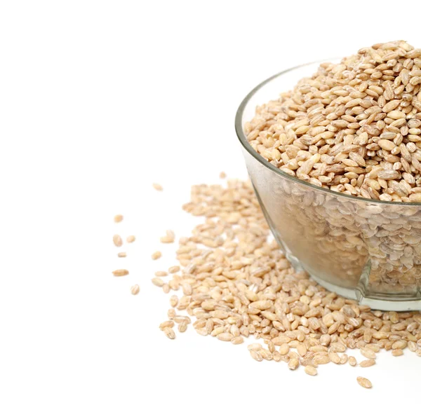 Pearl barley in glass bowl — Stock Photo, Image