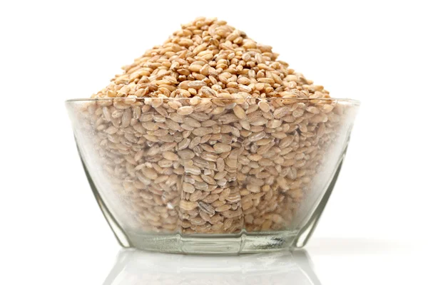 Natural pearl barley — Stock Photo, Image
