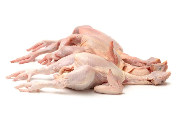 Hela råa kycklingar — Stockfoto