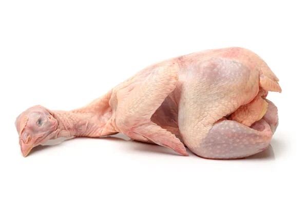 Whole raw hen — Stock Photo, Image