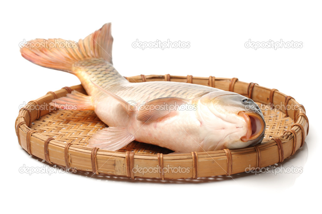 Raw fish carp