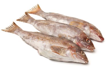 Fresh fishes clipart
