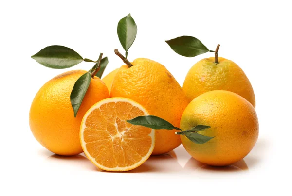 Group of an orange fruits — Stock Photo, Image