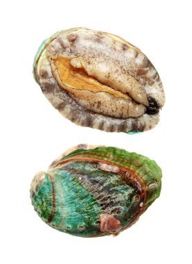 ham abalones