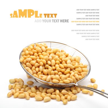 kevgir ile soya fasulyesi