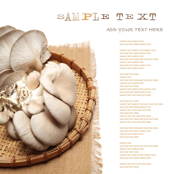 mantar içinde tepsi