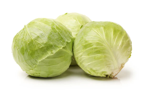 Wet green cabbage — Stock Photo, Image