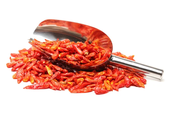 Dried pepper and scoop — Stock Photo, Image