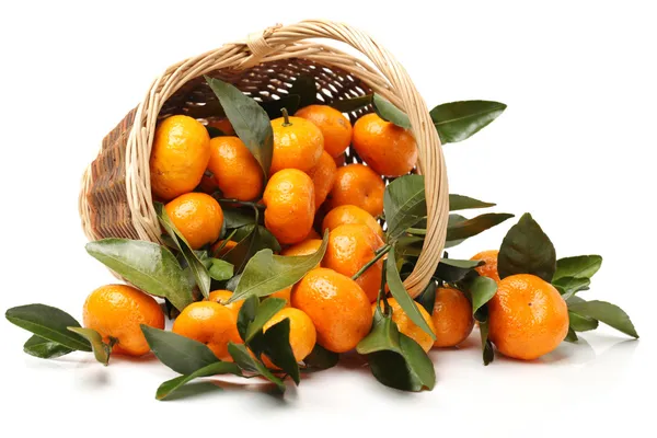Naranjas de mandarina en tazón —  Fotos de Stock