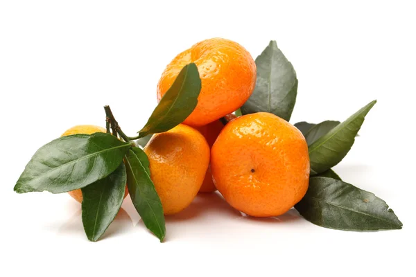 Mandarinas jugosas —  Fotos de Stock