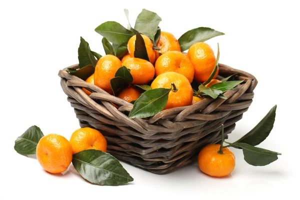 Sunde mandariner - Stock-foto