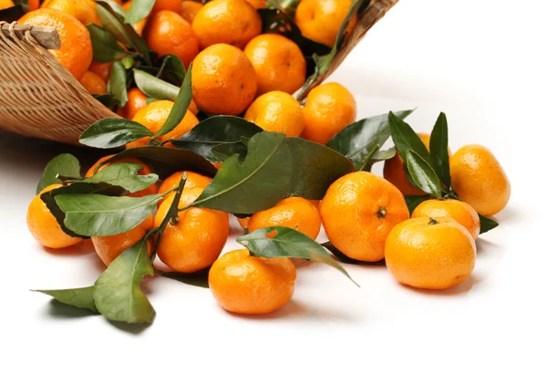 Tangerinas tropicais — Fotografia de Stock