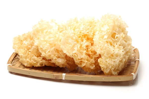 Tremella fuciformis — Stock Photo, Image