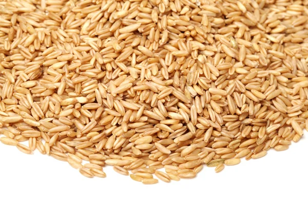Oat grains — Stock Photo, Image