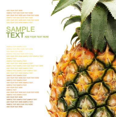 Ananas.