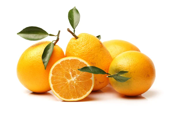 Juicy oranges fruit — Stock Photo, Image