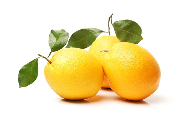 Juicy oranges fruit — Stock Photo, Image