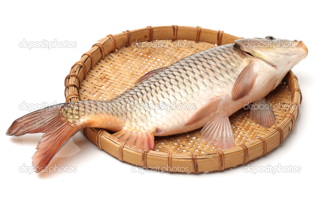 Raw fish carp