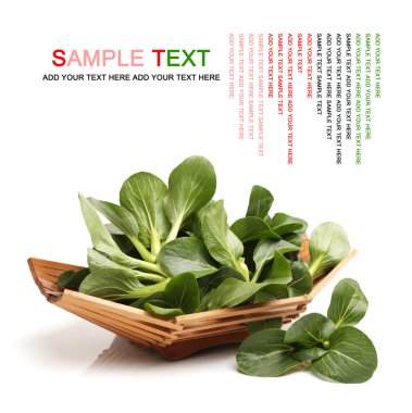 Pok Choi