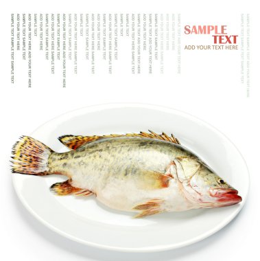 taze mandalina balık