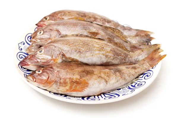 Peixes de crustáceos — Fotografia de Stock