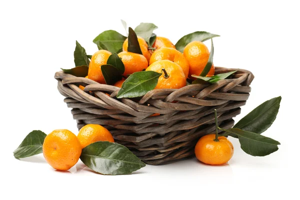 Tangerinas no cesto — Fotografia de Stock